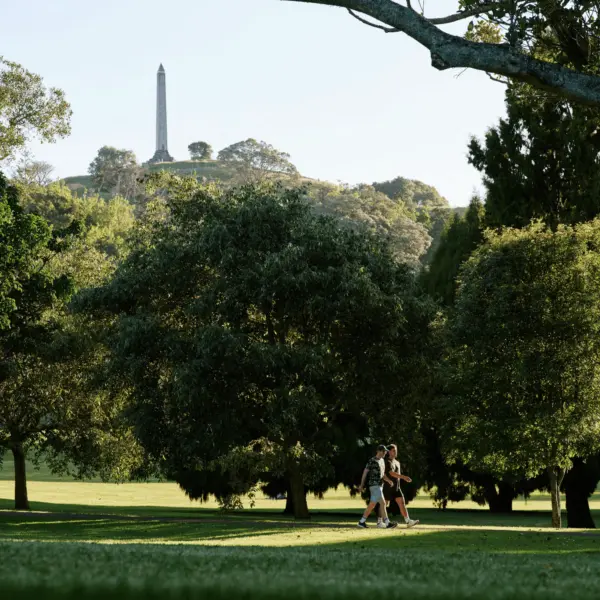 146951dda2620ac731844603e5f6e49f25ebd8f5